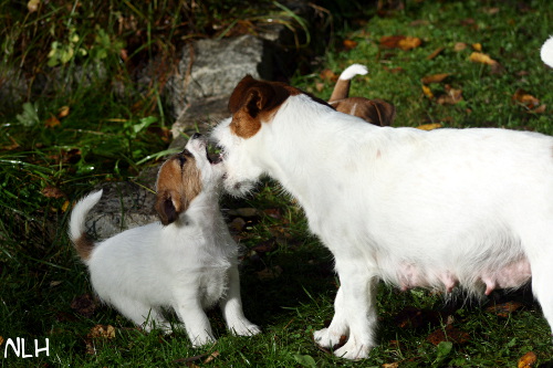 120920_inka bolt.jpg - Bolt & Inka